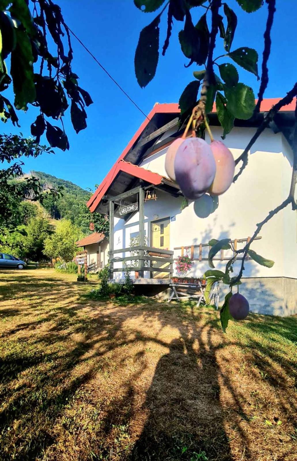 Kosta'S Romantic House Plav Exterior foto